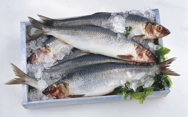 8 vis voor omega-3