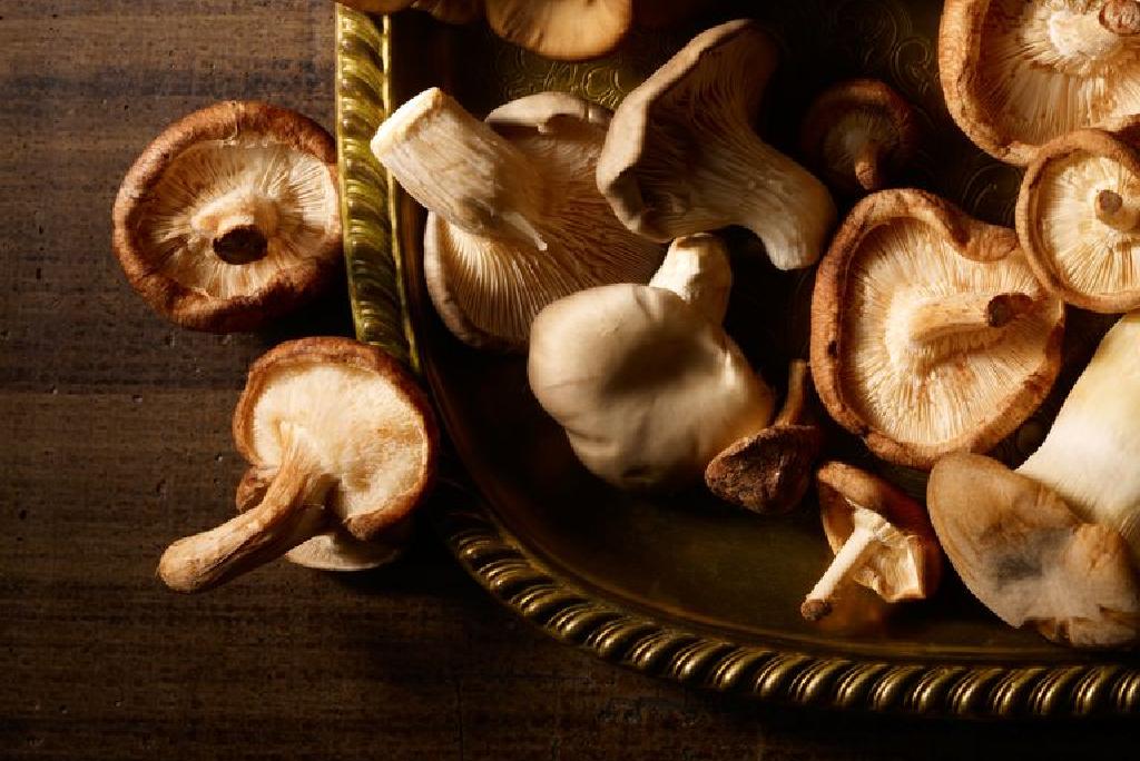15 Proprietățile ciuperci Shiitake pentru sănătate