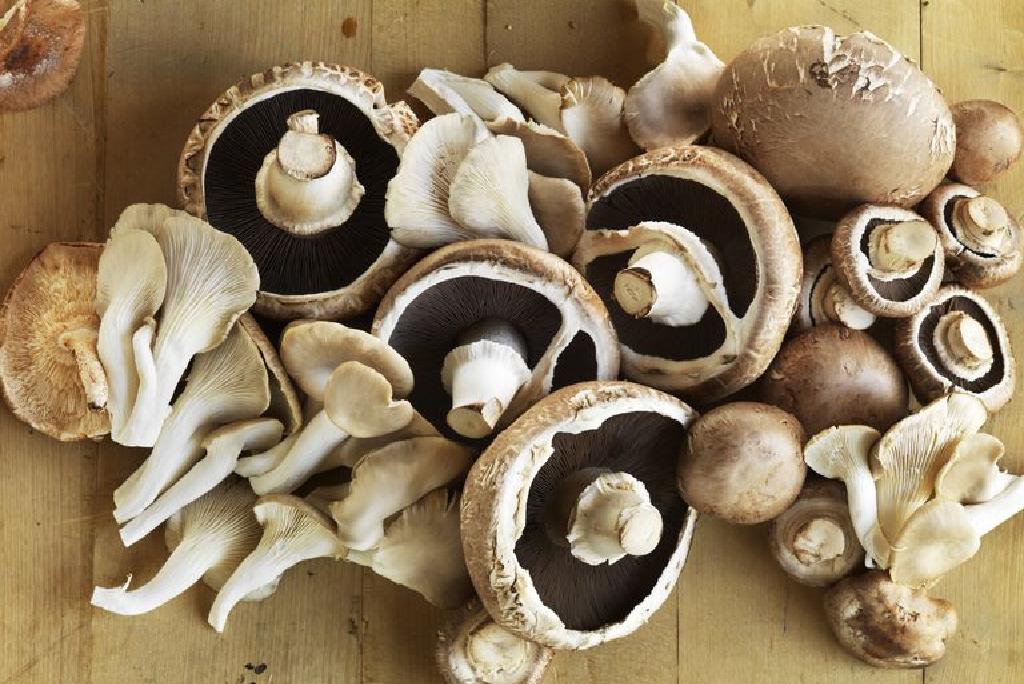 shitake pierderea de grăsime de ciuperci poate o curățare să mă ajute să pierd greutatea